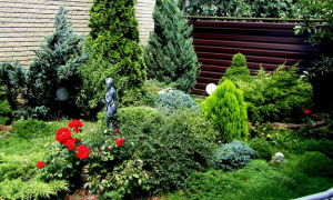 Ландшафтный дизайн с хвойными растениями перед частным домом