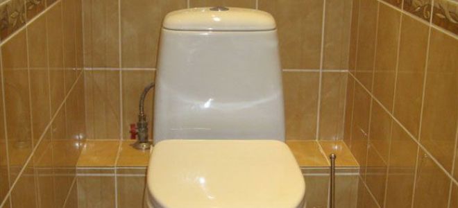 Дизайн маленького туалета